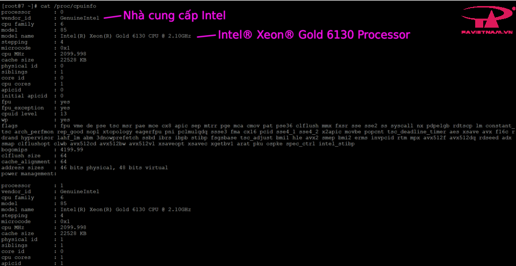 CPU VPS intel silver gold