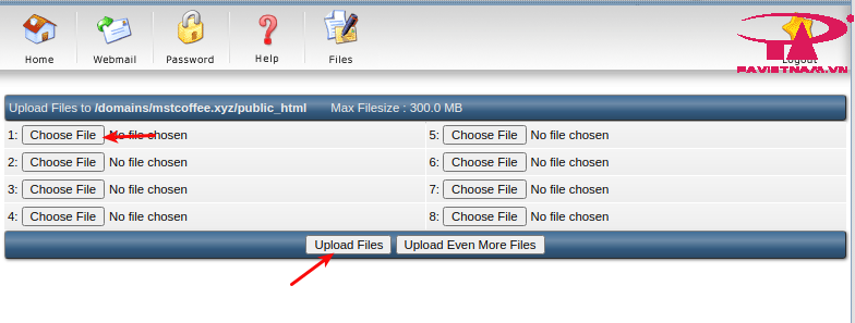 Directadmin – Upload data, website với File Manager trên Directadmin