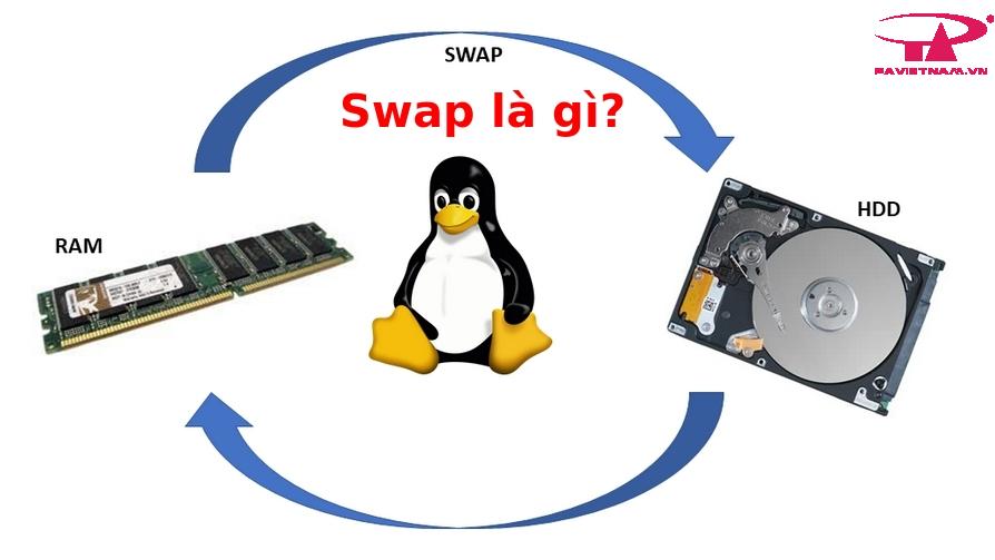 SWAP (RAM ảo) là gì?