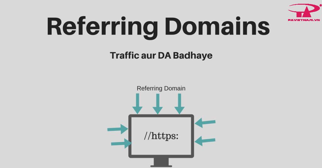 Referring Domains